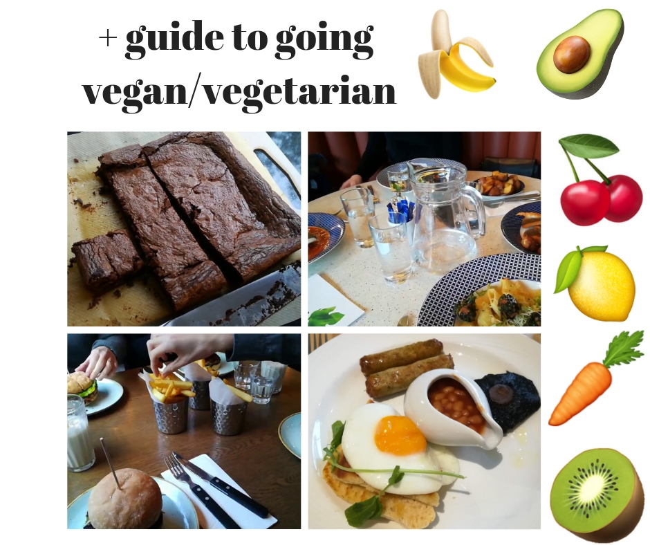 Guide to Going Vegan or Vegetarian.jpg